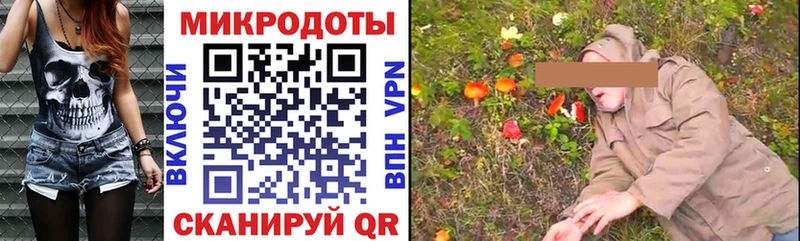 Галлюциногенные грибы GOLDEN TEACHER Камешково